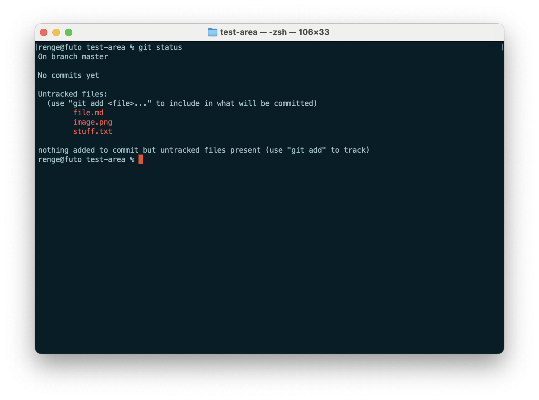 checking git status